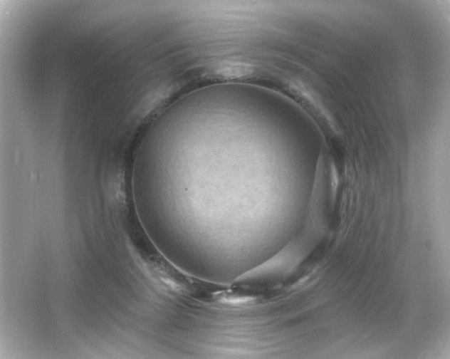 X0000066510212200603171200