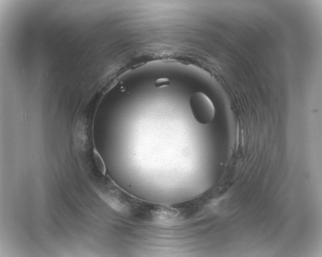 X0000066510215200603171200