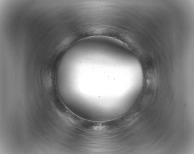 X0000066510216200603171200