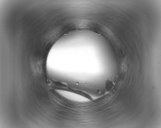 X0000066510217200603171200