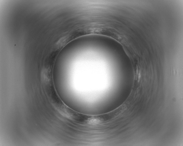 X0000066510218200603171200