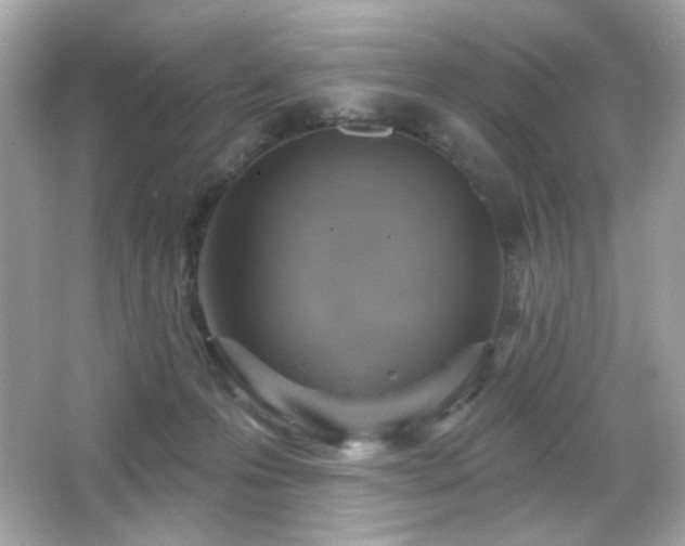X0000066510223200603171200