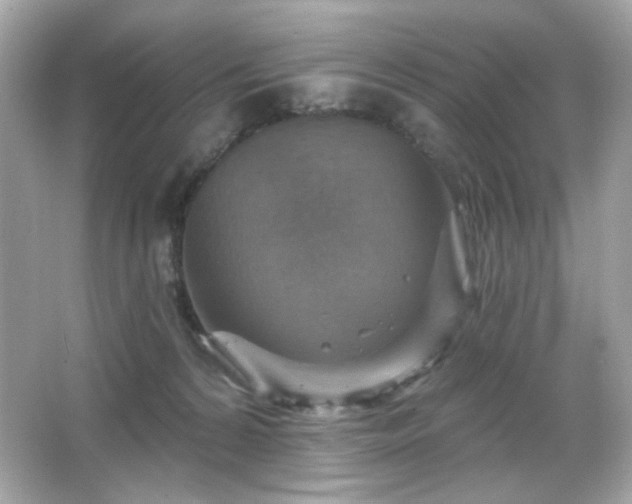 X0000066510224200603171200