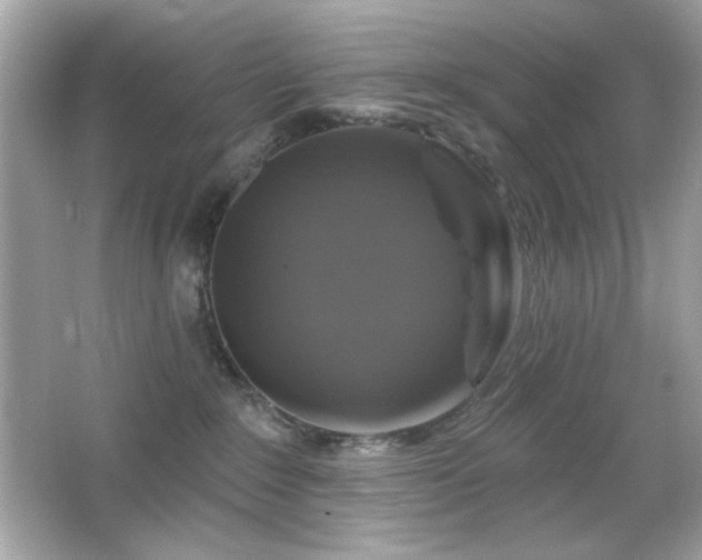 X0000066510235200603171200