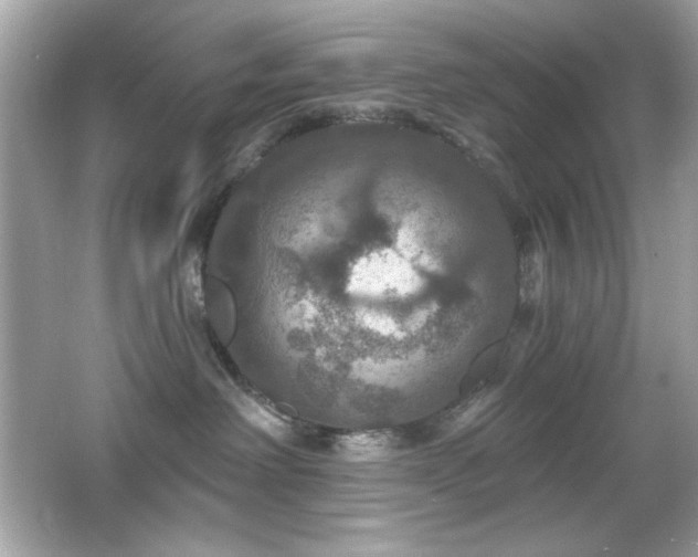 X0000066510238200603171200