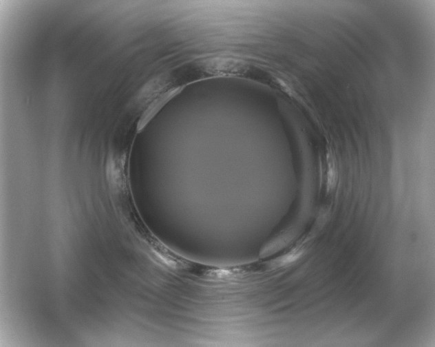 X0000066510239200603171200