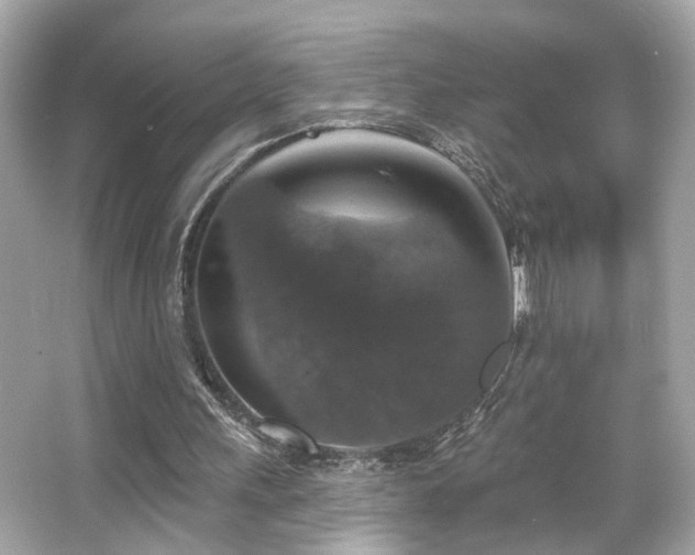 X0000066510243200603171159