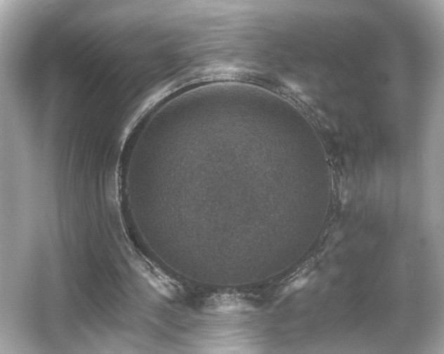 X0000066510244200603171159