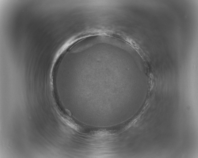 X0000066510246200603171159