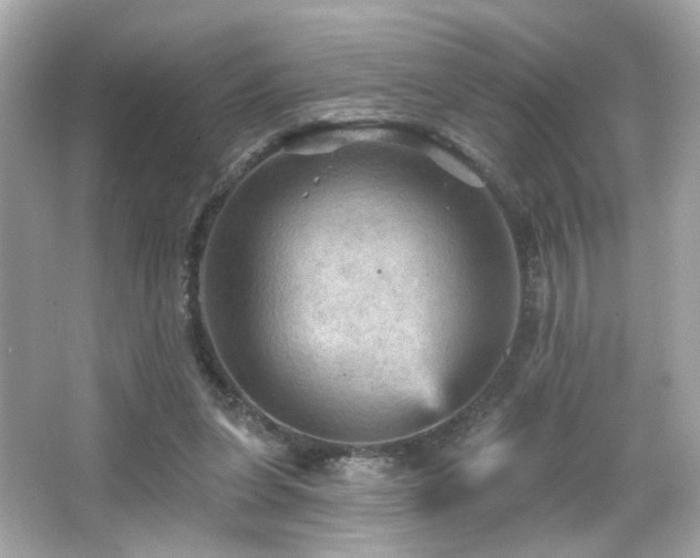 X0000066510255200603171159