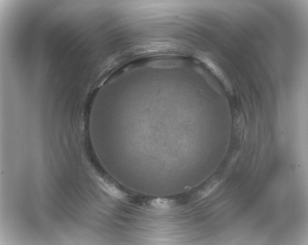 X0000066510261200603171159