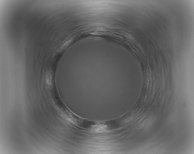 X0000066510266200603171200