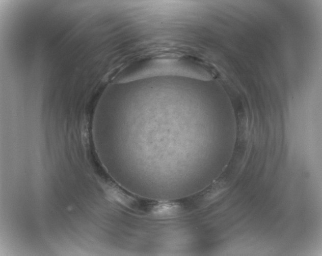 X0000066510274200603171200