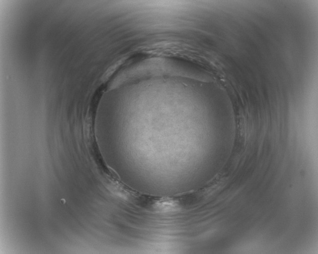 X0000066510283200603171200