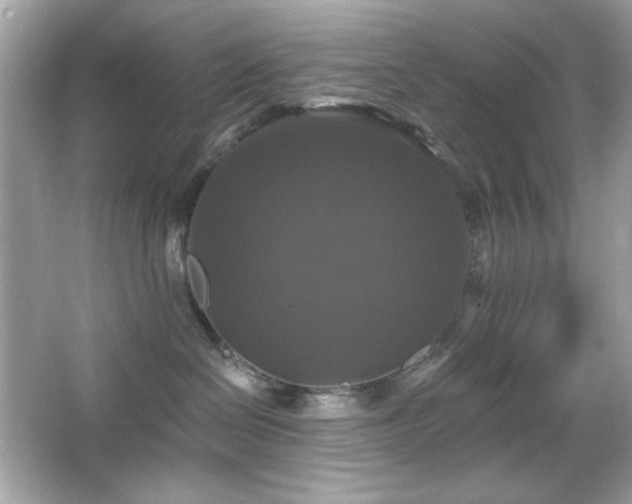 X0000066510286200603171200