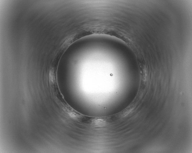 X0000066510287200603171200