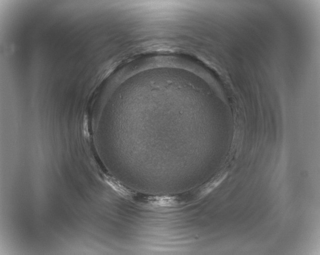 X0000066510288200603171200
