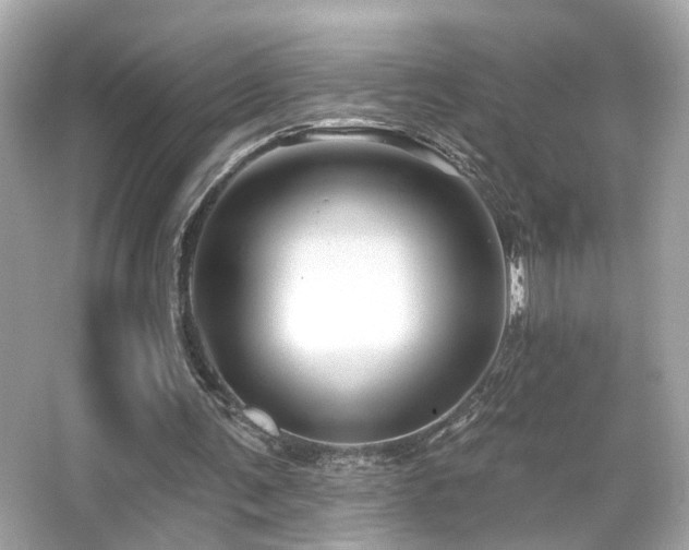 X0000066510291200603171159