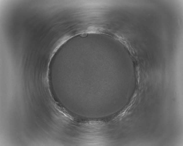 X0000066510292200603171159