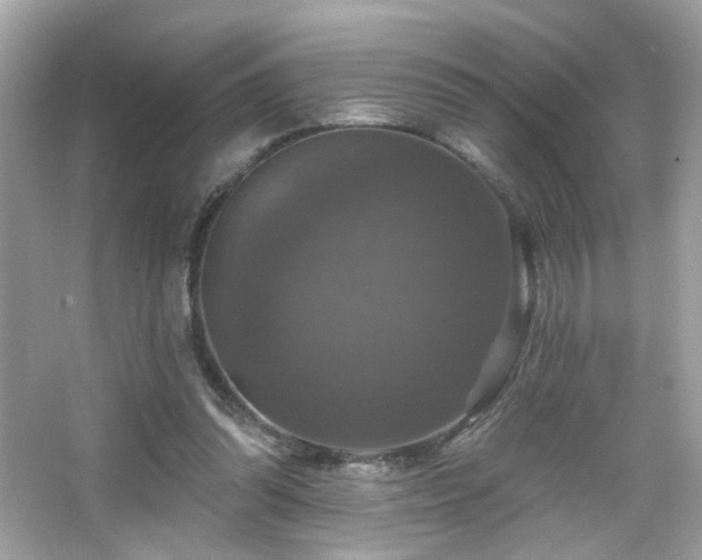 X0000066510302200603171159