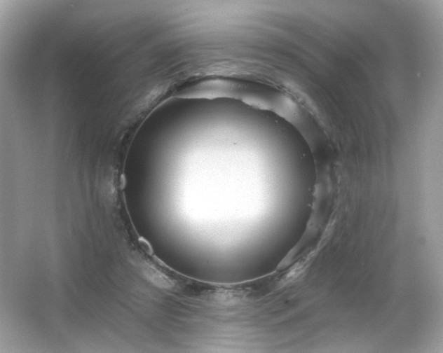X0000066510305200603171159