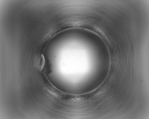 X0000066510307200603171159