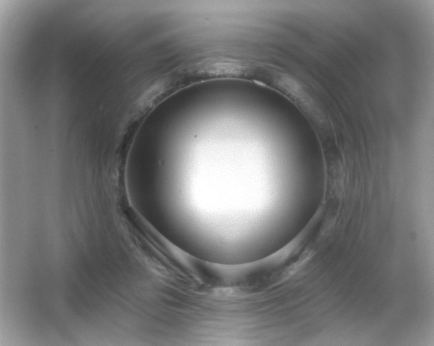 X0000066510309200603171159