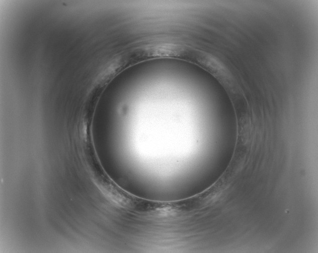 X0000066510310200603171159
