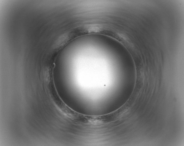 X0000066510311200603171159