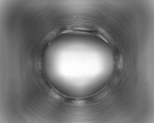 X0000066510313200603171159