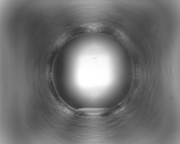 X0000066510318200603171159