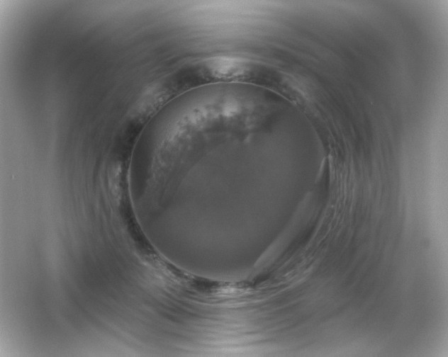 X0000066510319200603171159