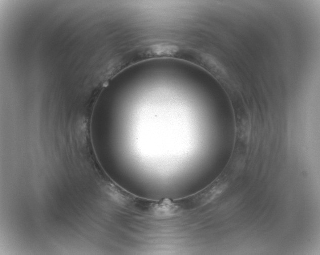 X0000066510321200603171159