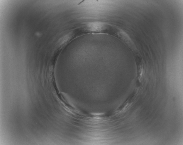 X0000066510325200603171159