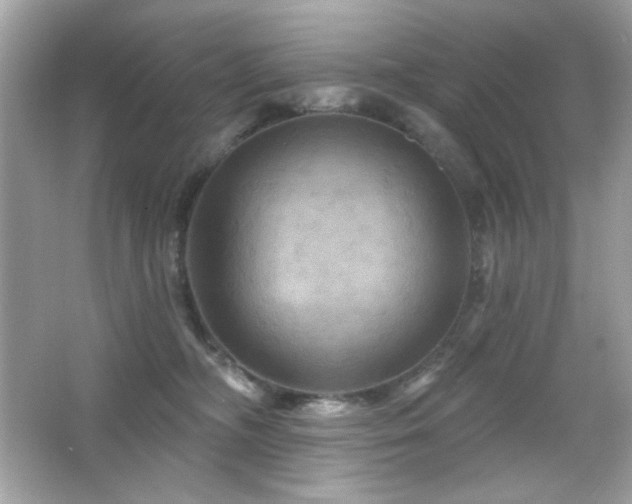 X0000066510326200603171158