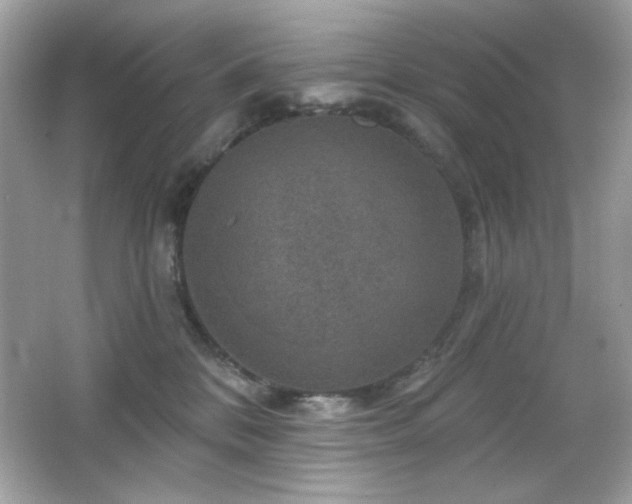 X0000066510328200603171158