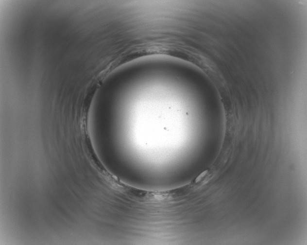 X0000066510329200603171158