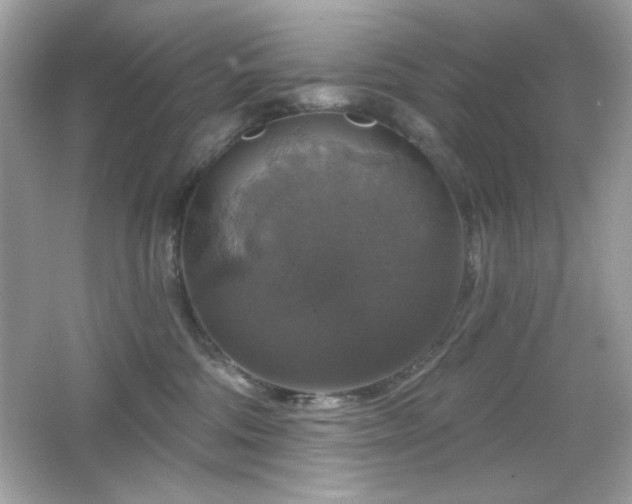 X0000066510330200603171158