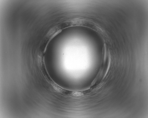 X0000066510333200603171158