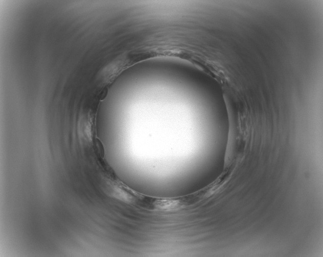 X0000066510334200603171158