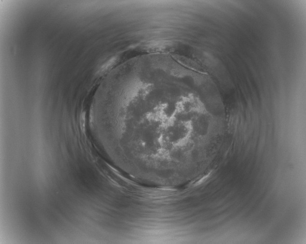 X0000066510335200603171158
