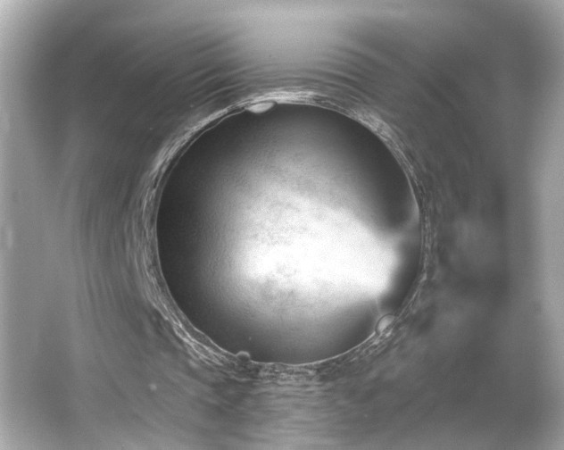 X0000066510337200603171158