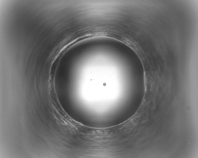X0000066510338200603171158