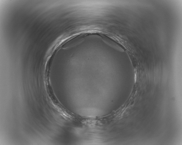 X0000066510339200603171158
