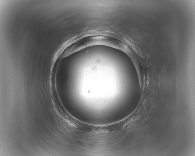 X0000066510340200603171158