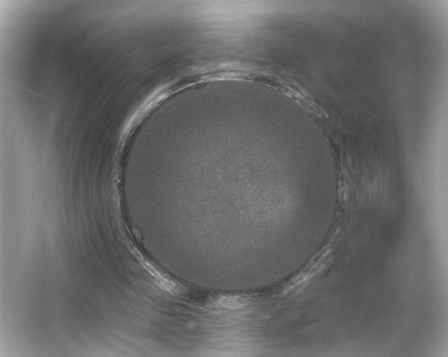 X0000066510341200603171158