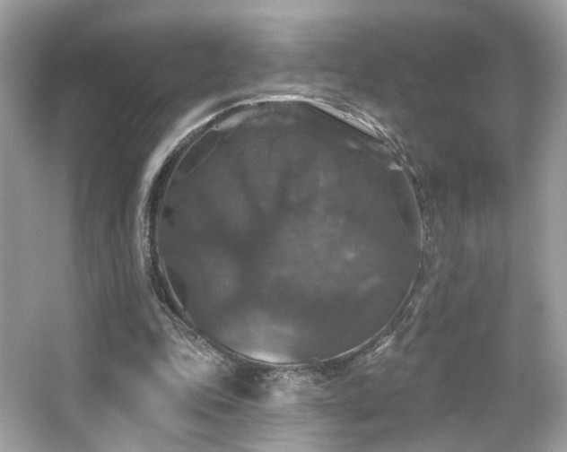 X0000066510343200603171158
