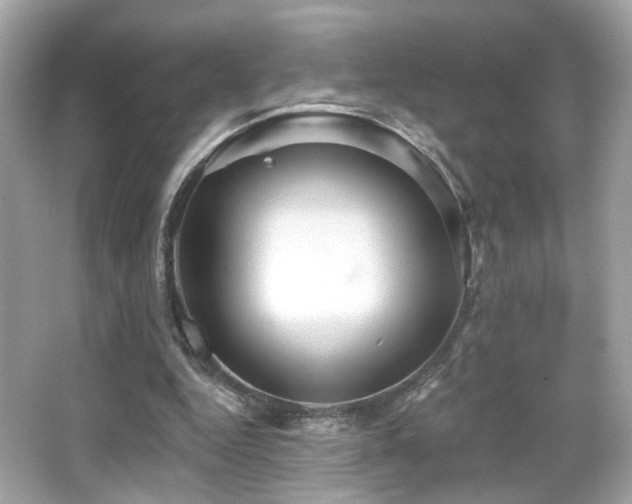 X0000066510344200603171158