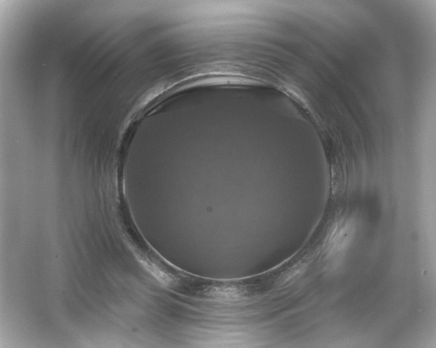 X0000066510349200603171158