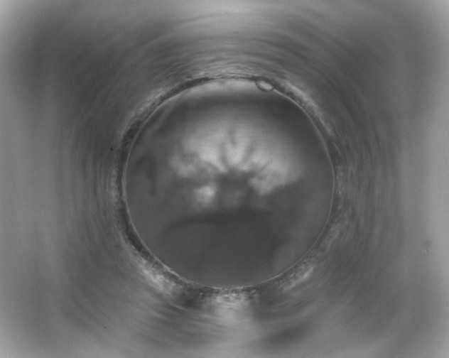 X0000066510353200603171158